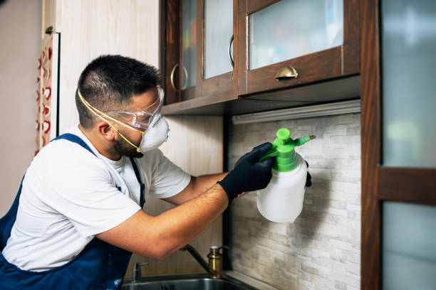 Best Best Pest Control Companies  in Addis, LA