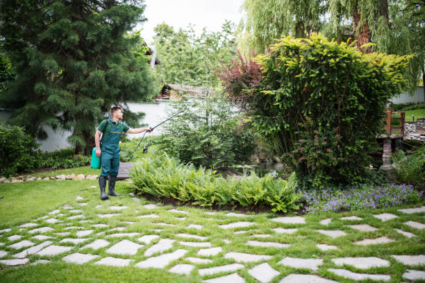 Best Local Pest Control Services  in Addis, LA