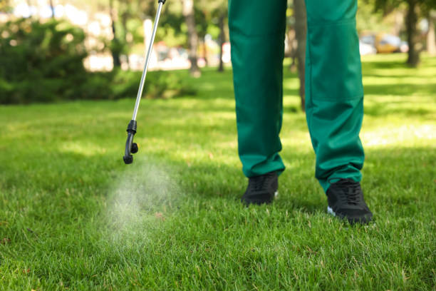 Best Insect Control  in Addis, LA