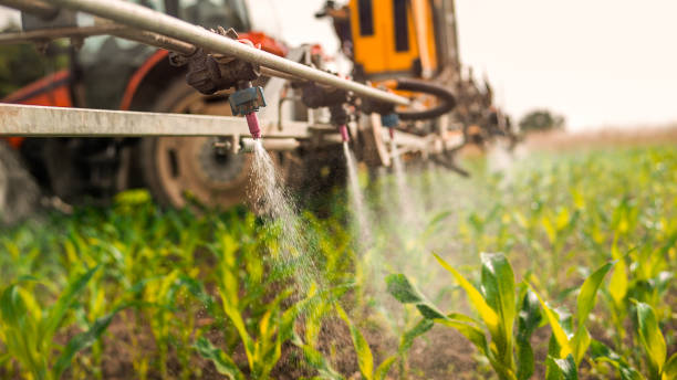 Professional Pest Control in Addis, LA